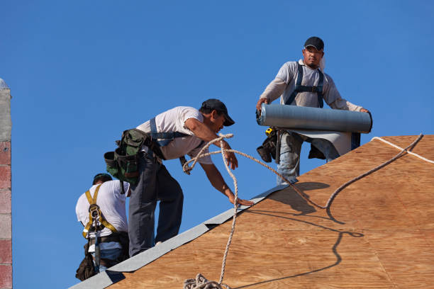 Best Roof Gutter Cleaning  in West Belmar, NJ