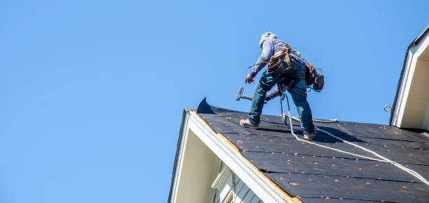 Best Metal Roofing Contractor  in West Belmar, NJ